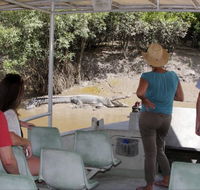 Whitsunday Crocodile Safari - Holiday Jervis Bay