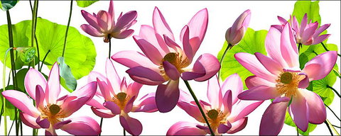 Tin Shed Art Gallery - Holiday Jervis Bay 3