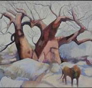 Bright Madge - Holiday Jervis Bay