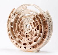 Noosa Regional Gallery - Holiday Jervis Bay