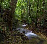 Trek North - Holiday Jervis Bay