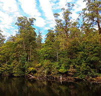A R Reflections River Cruises - Holiday Jervis Bay