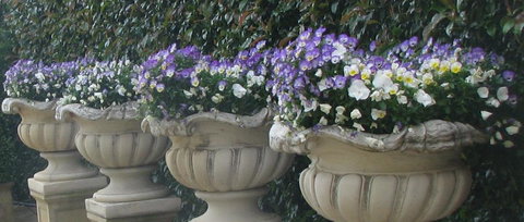 Gardenalia Open Garden And Rare Plant Nursery - Holiday Jervis Bay 0