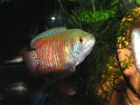 River To Reef Aquarium - Holiday Jervis Bay 4