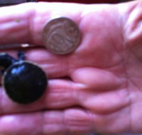 Hurleys Aquariums - Holiday Jervis Bay