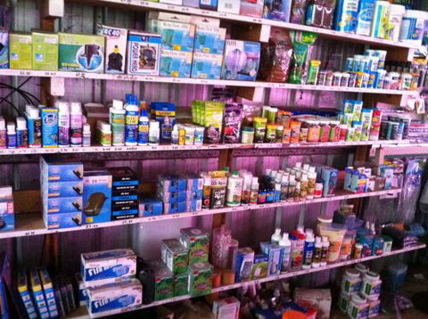 Hurley’s Aquariums - Holiday Jervis Bay 1