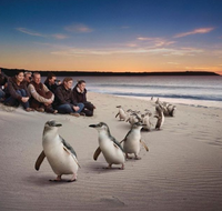 Down Under Thrills - Holiday Jervis Bay