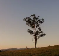 Faulls Ridge Winery - Holiday Jervis Bay