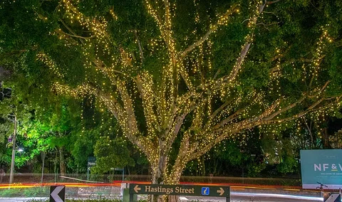 The Sunshine Coast Tour Company - Holiday Jervis Bay 3