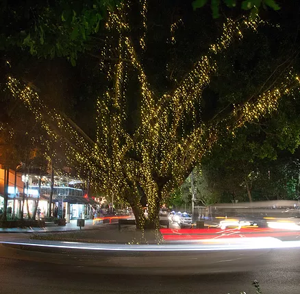 The Sunshine Coast Tour Company - Holiday Jervis Bay 2