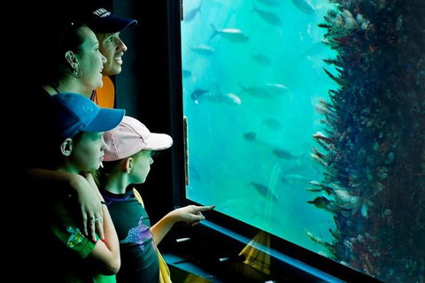 2-hour Busselton Jetty Package: Jetty Train And Underwater Observatory - Holiday Jervis Bay 1