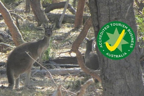 Perth Electric Bike Tours - Holiday Jervis Bay 3