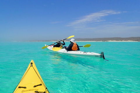 Lagoon Explorer - Ningaloo Reef Full-Day Kayaking And Snorkeling Adventure - Holiday Jervis Bay 7