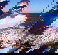 Deep Sea Fishing Charter from Perth - Holiday Jervis Bay