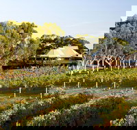 Margaret River and Geographe Bay Region Day Trip from Perth - Holiday Jervis Bay