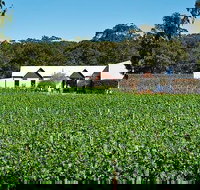 Upper Reach Winery Swan Valley Winery and Vineyard Tour - Holiday Jervis Bay
