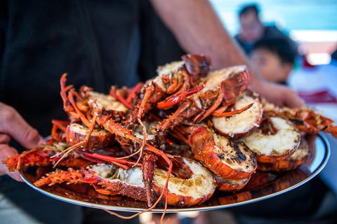 Mandurah Wild Seafood Adventure Cruise - Holiday Jervis Bay 1