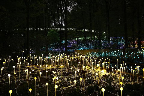 National Anzac Centre Field Of Light Panorama Pass - Holiday Jervis Bay 0