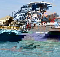 Mandurah Dolphin and Scenic Marine Cruise - Holiday Jervis Bay