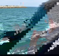 Mandurah Dolphin Island Adventure - Holiday Jervis Bay