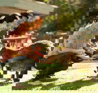 Very Best of Perth Tour - Wildlife Park  City Highlights Tour - Holiday Jervis Bay