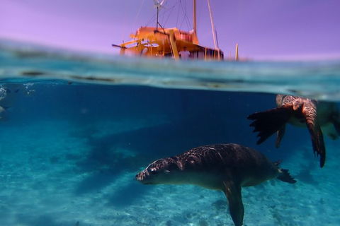 Carnac Island Half Day Sail - Holiday Jervis Bay 1