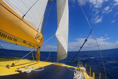 Carnac Island Half Day Sail - Holiday Jervis Bay 5