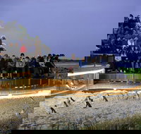 1 Day Private Phillip Island Tour VIP Charter up to 9 People - Holiday Jervis Bay