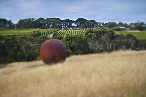 Estate To Plate: Montalto Vineyard Gourmet Lunch And Wine-Tasting Tour - Holiday Jervis Bay 2