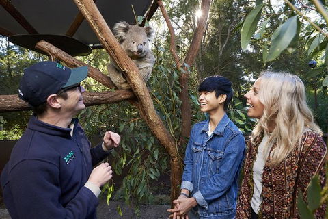 Australian Wildlife Experience At Healesville Sanctuary - Holiday Jervis Bay 1