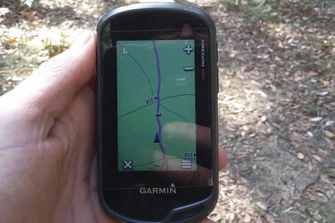GPS Guided Walks In The Daylesford Forest - Holiday Jervis Bay 0