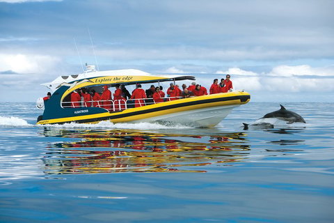 3-Hour Tasman Peninsula Wilderness Cruise From Port Arthur - Holiday Jervis Bay 5