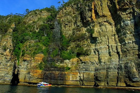 3-Hour Tasman Peninsula Wilderness Cruise From Port Arthur - Holiday Jervis Bay 7