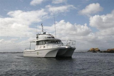 Bonnet Island Experience Departing From Strahan - Holiday Jervis Bay 1