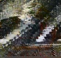 West Coast Wilderness Railway River and Rainforest from Strahan - Holiday Jervis Bay