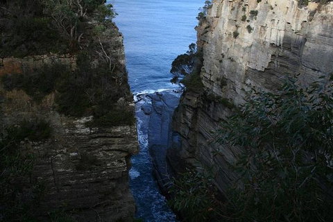 Cruise Ship Special From Port Arthur: Explore Tasman Peninsula With Free WiFi - Holiday Jervis Bay 1