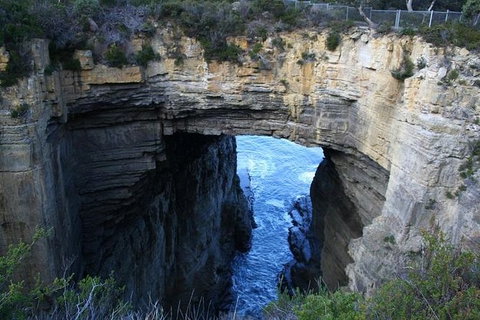 Cruise Ship Special From Port Arthur: Explore Tasman Peninsula With Free WiFi - Holiday Jervis Bay 0