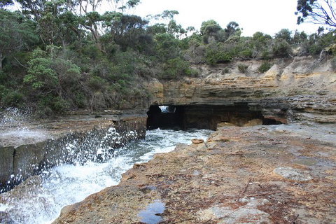 Cruise Ship Special From Port Arthur: Explore Tasman Peninsula With Free WiFi - Holiday Jervis Bay 7