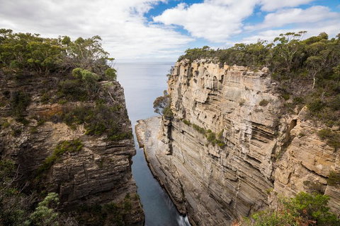 Cruise Ship Special From Port Arthur: Explore Tasman Peninsula With Free WiFi - Holiday Jervis Bay 3