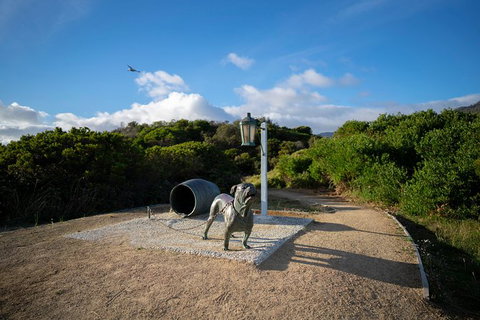 Cruise Ship Special From Port Arthur: Explore Tasman Peninsula With Free WiFi - Holiday Jervis Bay 9