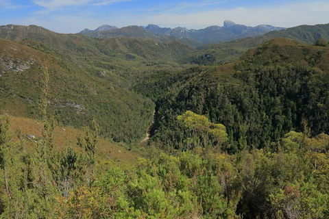 Lake St. Clair And Western Wilderness Active Day Trip From Hobart - Holiday Jervis Bay 9