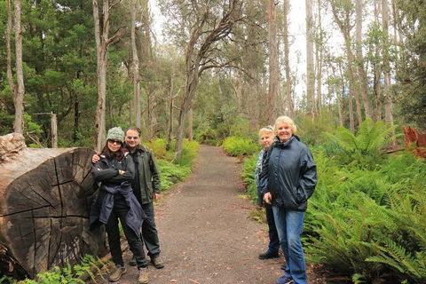 Lake St. Clair And Western Wilderness Active Day Trip From Hobart - Holiday Jervis Bay 8