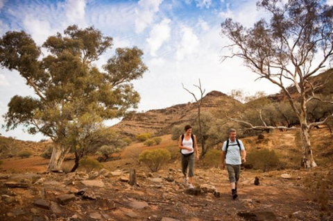 Flinders Ranges 3 Day 4WD Small Group Eco Tour From Adelaide - Holiday Jervis Bay 0