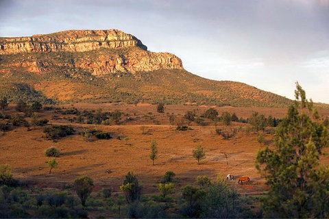 Flinders Ranges 3 Day 4WD Small Group Eco Tour From Adelaide - Holiday Jervis Bay 8