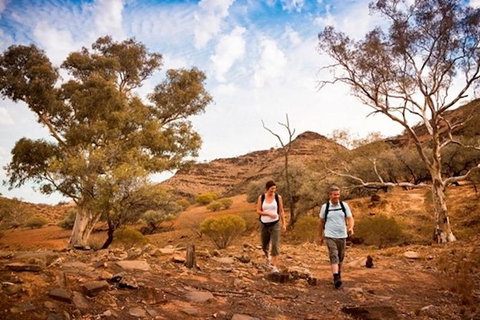Flinders Ranges 3 Day 4WD Small Group Eco Tour From Adelaide - Holiday Jervis Bay 3