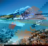 3-Day Southern Great Barrier Reef Tour Including Lady Musgrave Island - Holiday Jervis Bay