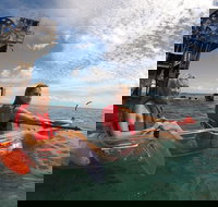 Moreton Island Day Trip Kayak Snorkel  Sandboard frm Brisbane or Gold Coast - Holiday Jervis Bay