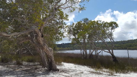 North Stradbroke Island Day Trip From Brisbane - Holiday Jervis Bay 14
