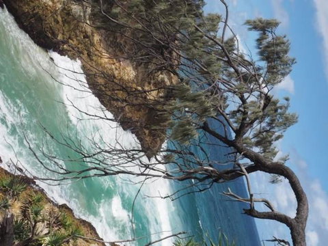 North Stradbroke Island Day Trip From Brisbane - Holiday Jervis Bay 16