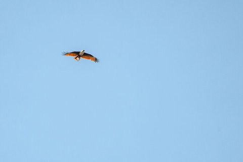 North Stradbroke Island Day Trip From Brisbane - Holiday Jervis Bay 32